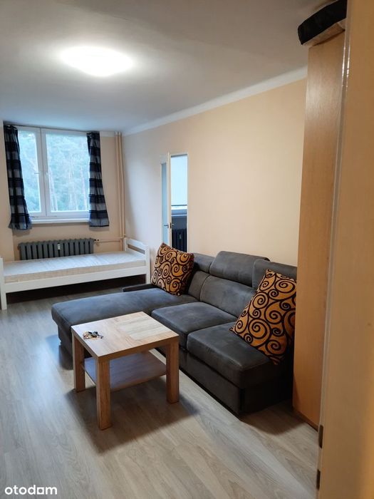 Przestronne mieszkanie z balkonem w centrum