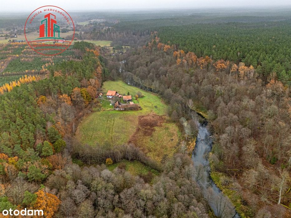 Serce Borów Tucholskich, Parku Krajobrazowego 2,5h