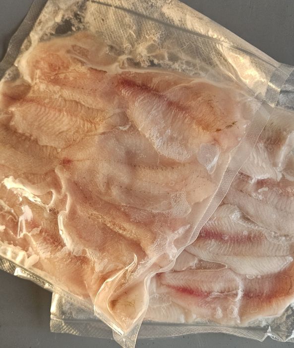 Ryba filet z okonia pospolitego