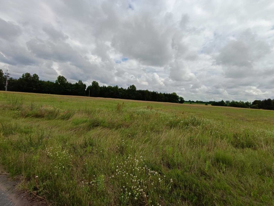 Działka budowlana kilkanaście minut od Gniezna!