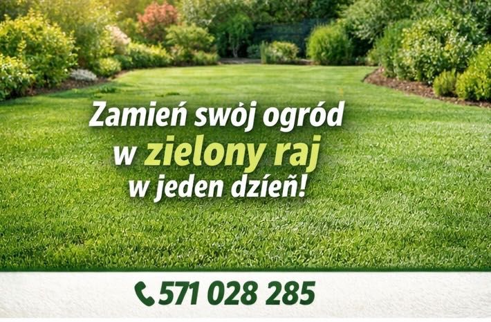 Trawa z rolki premium