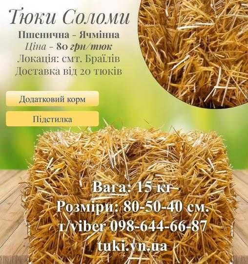 Солома в тюках тюки пшеничної соломи ячмінний тюк урожай 2025