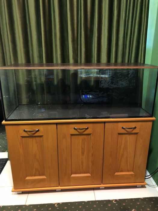 Террариум для рептилий