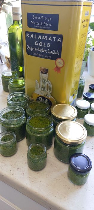 Pesto z czosnku niedźwiedziego