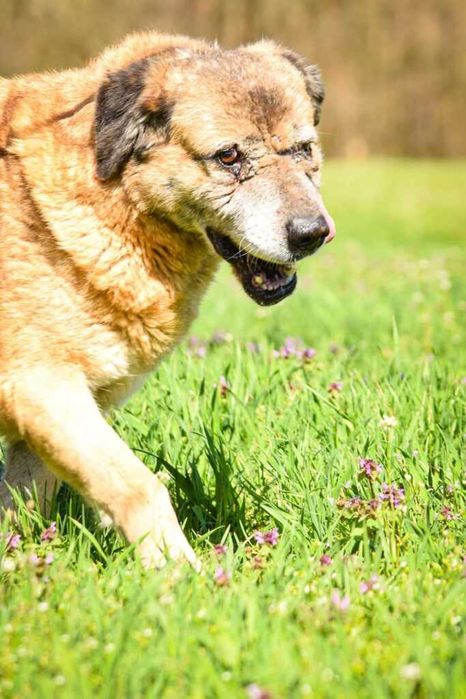 Ciekawska i pogodna Zosia