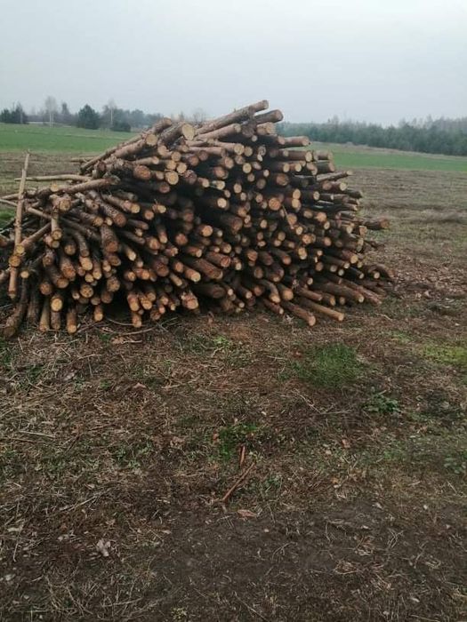 Drewno opałowe dragowina.