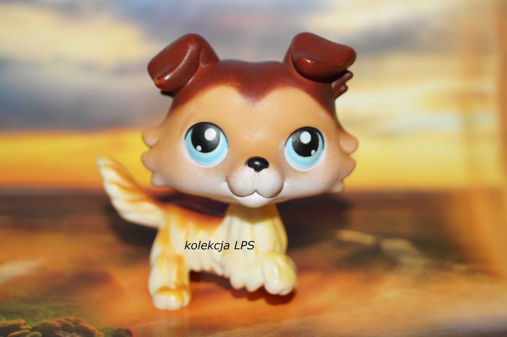 LPS Littlest Pet Shop collie #58 Sage oryginalny pop oryginał paw up