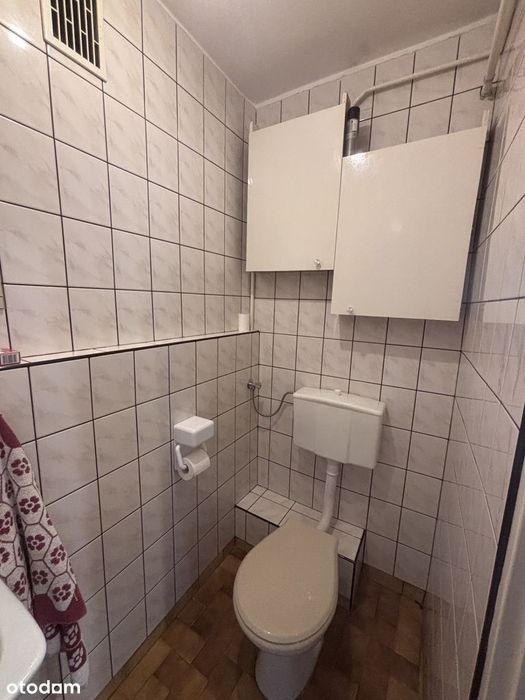 Zdjęcie 7
