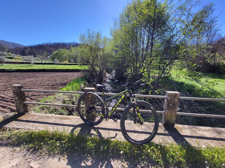 Bicicleta Scott Scale 980