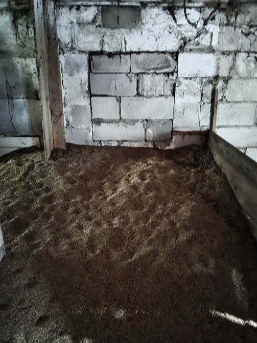 Sprzedam żyto z tego roku