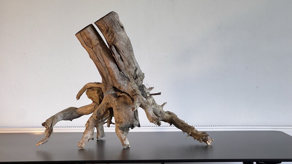 Korzeń do terarium, akwarium