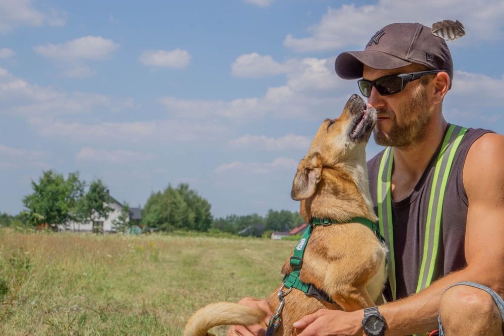 Mijunia , malutka mloda sunia czeka na dom