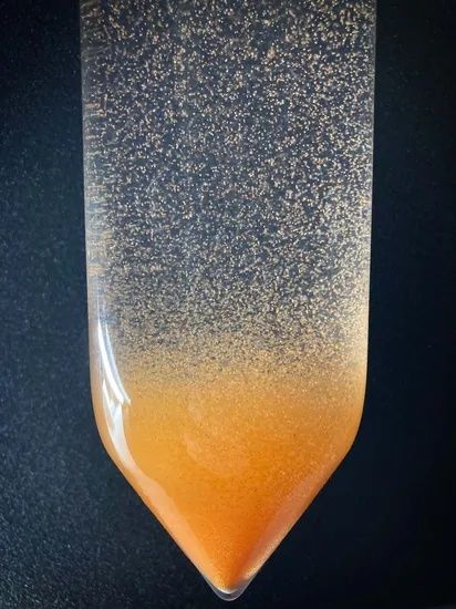 Ovos (cistos) de artémia por eclodir / eclodidos