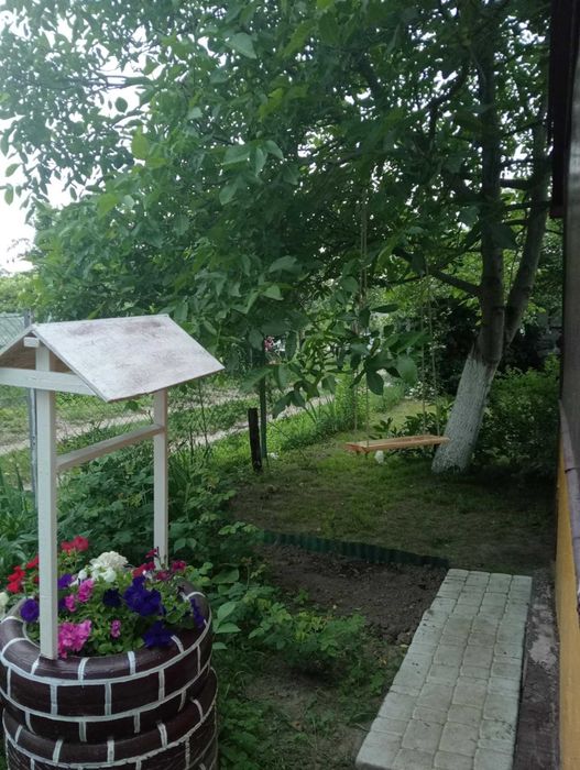 Дача " Промінь"  земельна ділянка