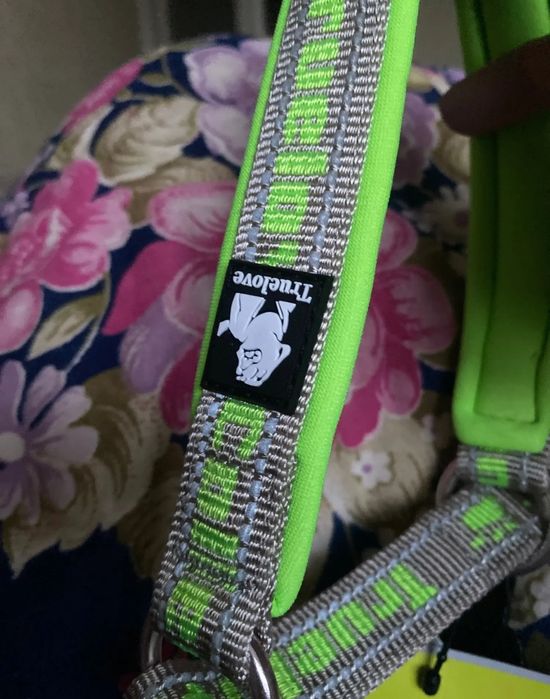 Ошийник для тварин True Love