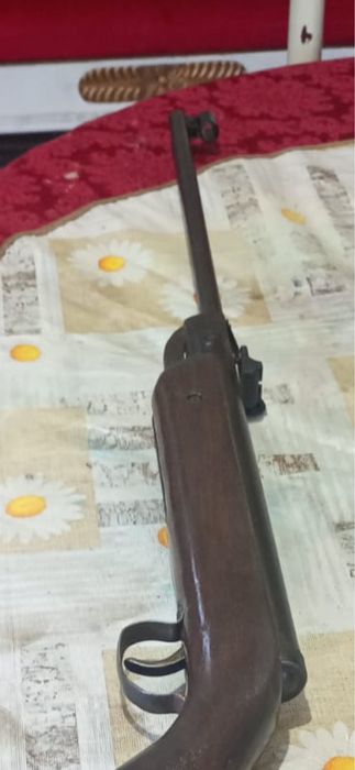 Para caça em otimo estado
