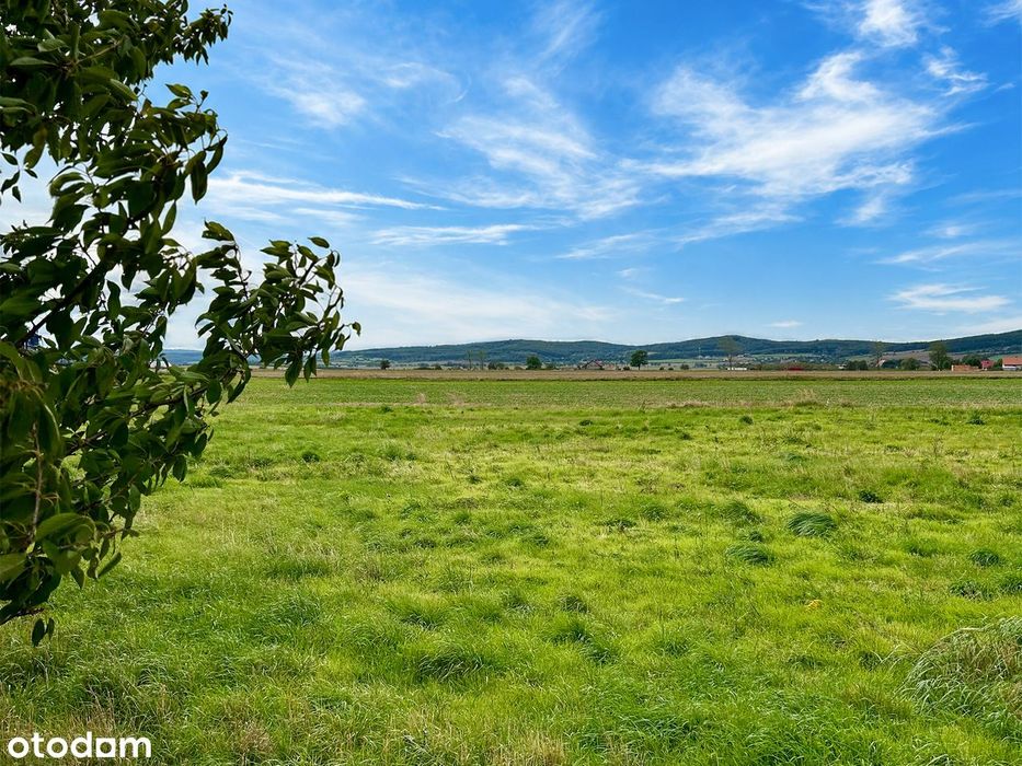 Działka 1276 m² | Paszowice | MPZP | Woda + kanalizacja