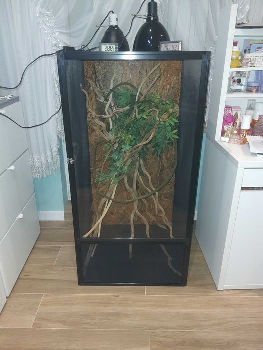 terrarium dla kameleona