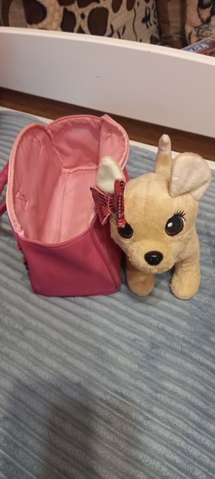 Чічі Лав в сумочці