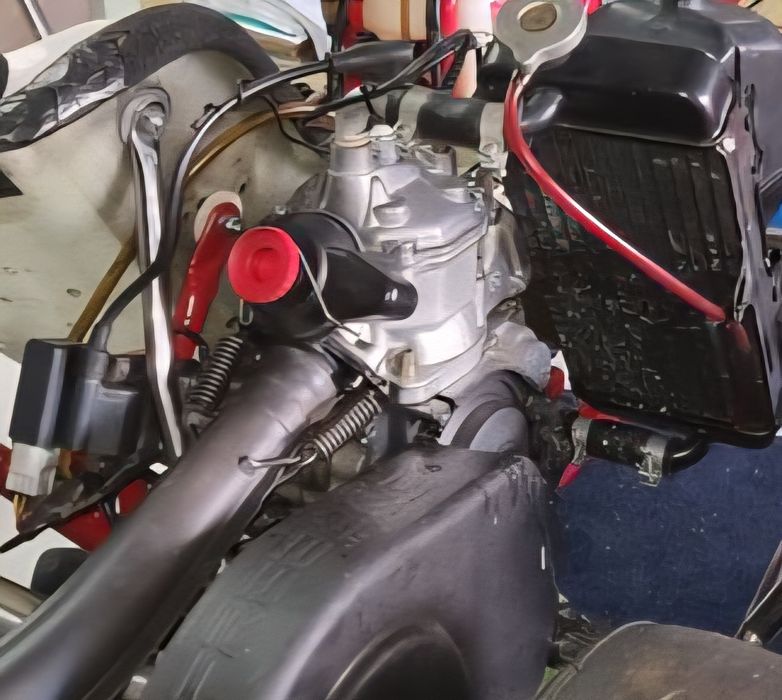 Rotax max 125 completo