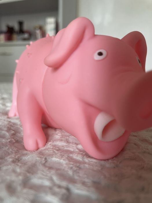 Brinquedo para cães - Porco que ronca