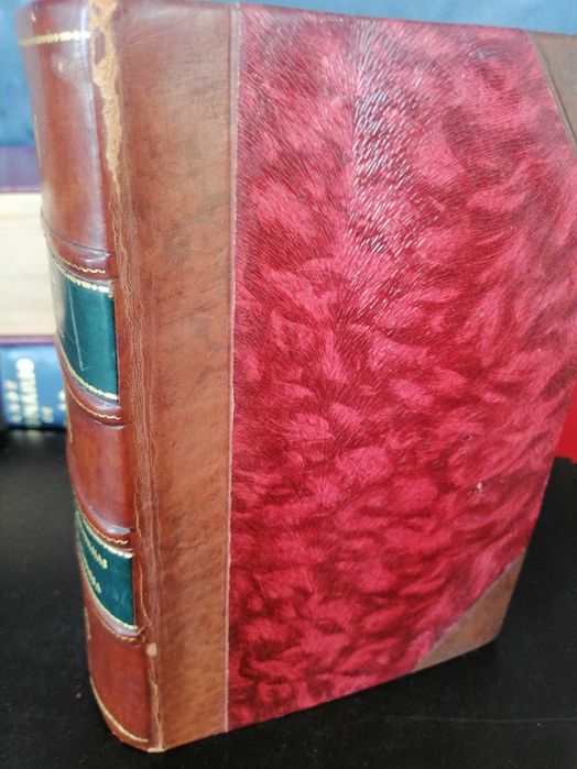 Vasco Botelho de Amaral - a lingua inglesa e a vida em londres