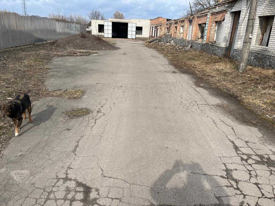 комерційна нерухомість у Бердичеві