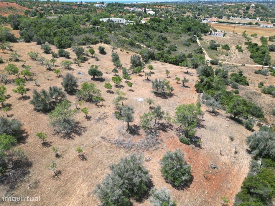 Terreno Rústico com 15000 m2, situado nas Baiãs — Algoz E Tunes, Faro