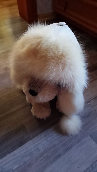 Шапки для дівчаток