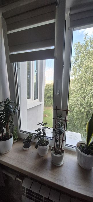 Продам 1к квартиру 656мкр