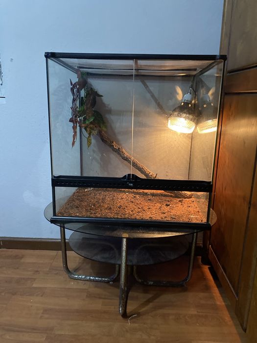 Trrario em bom estado (ler descrição)