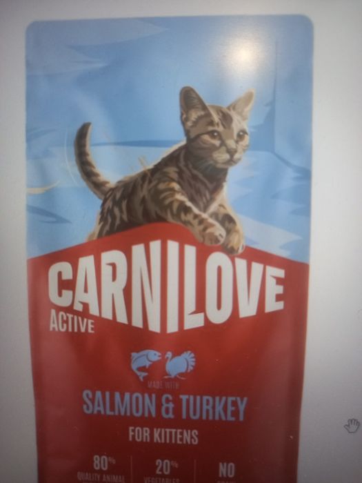 Carnilove Cat Salmon&Turkey Kitten 6кг