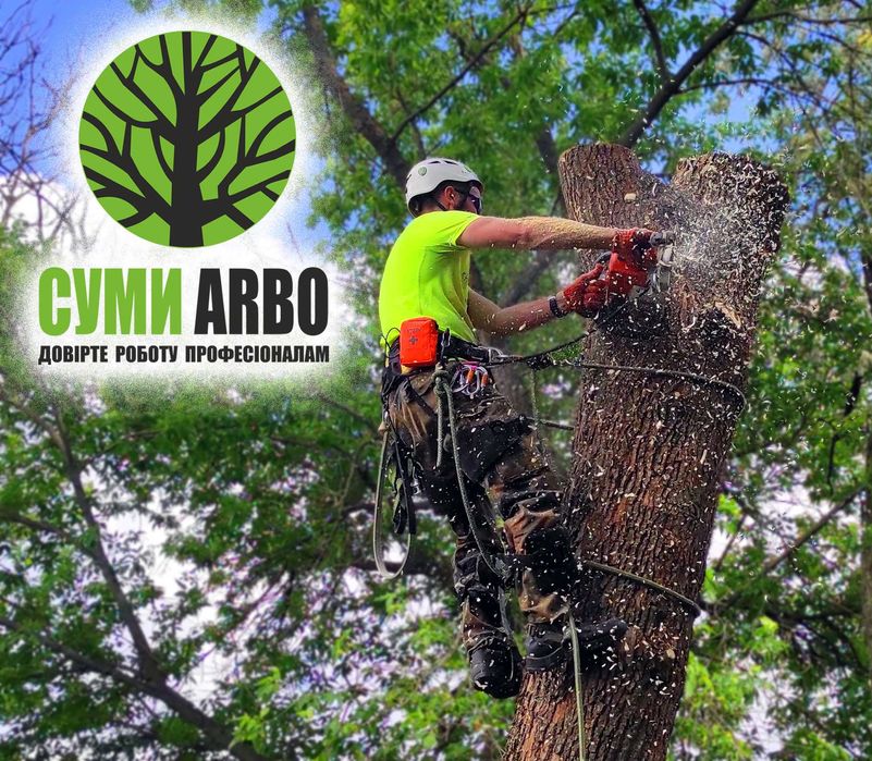 Видалення дерев по частинах. Догляд, обрізка, чистка. Спил, удаление.