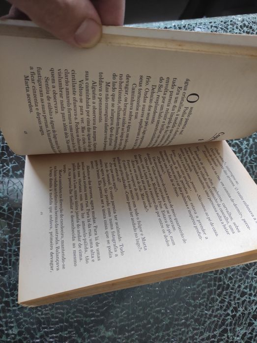 Estrada do Terror A sonâmbula R.L.Stine