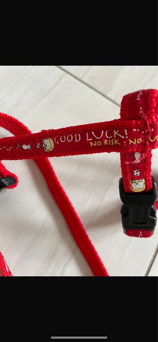 Ошейник шлейка для кота новый, с поводком