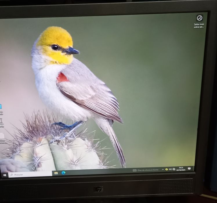 Monitor hp vs17 com altifalantes