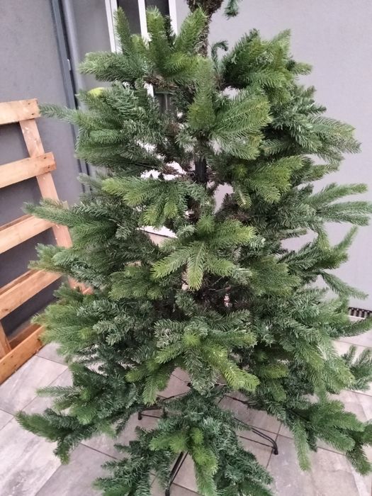 Pinheiro de natal