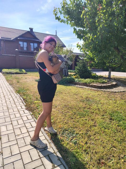 Собачку в гарні руки
