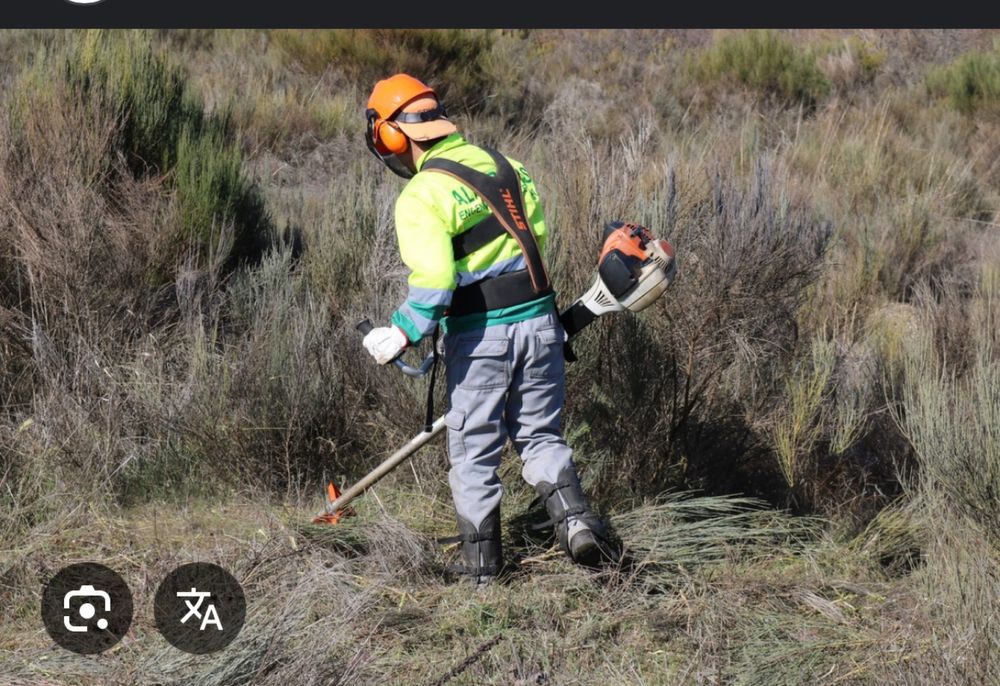 Limpeza de terrenos