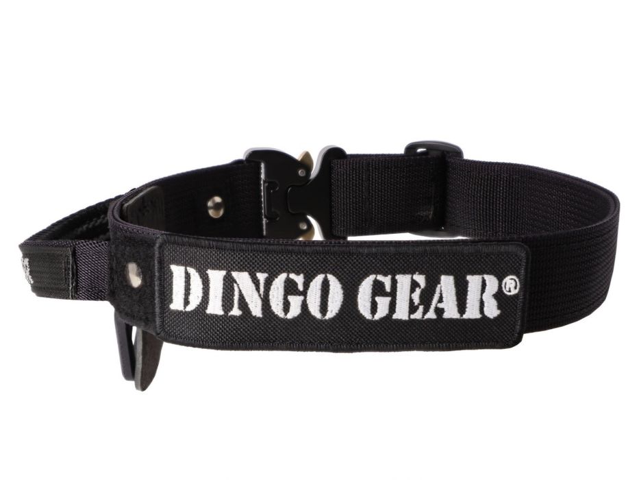 Obroża Dingo Gear
