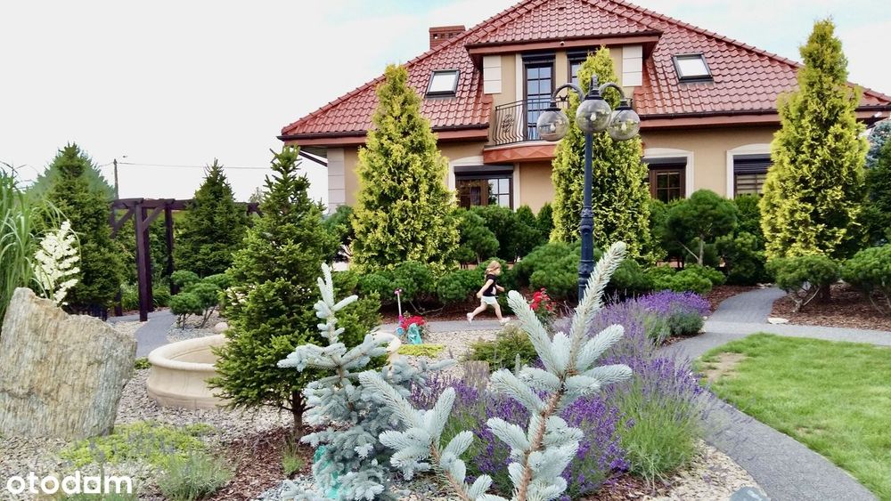 Sprzedam Dom w Boryszewie Nowym, Płock