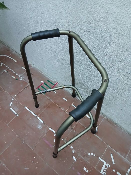 Vendo andarilho orthos