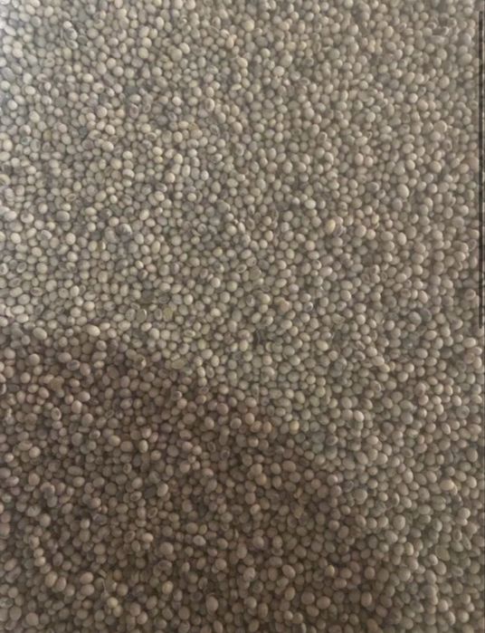 Продам сою на корм худобі і птиці