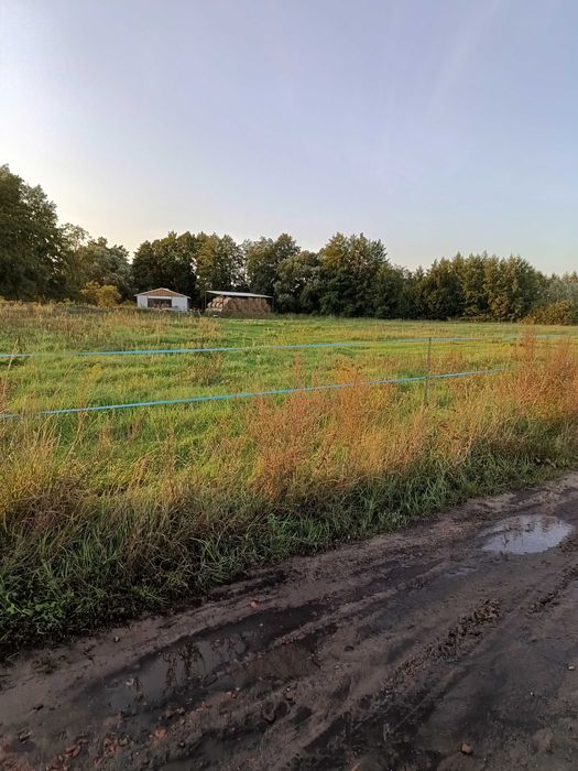 Dzialka na sprzedaz Krosinko