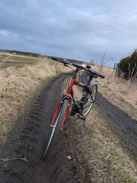 Rower MTB Grand Jocker