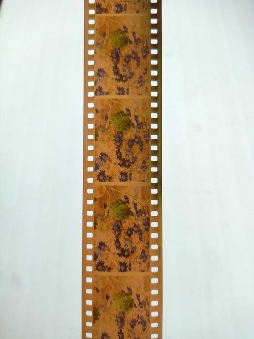 Фотоплівка, фотопленка Свема ЛН-9 для ломографії