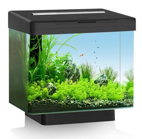 Акваріуми під замовлення виготовлення