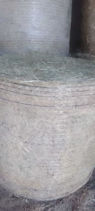 sprzedam siano w belach 130