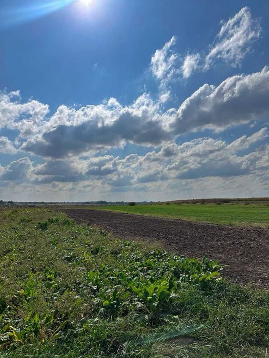 Продам земельну ділянку під будівництво.