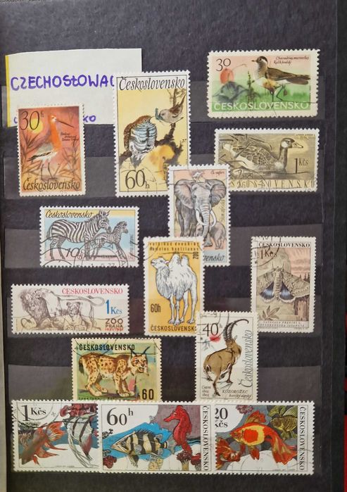 Klaser filatelistyczny ze znaczkami